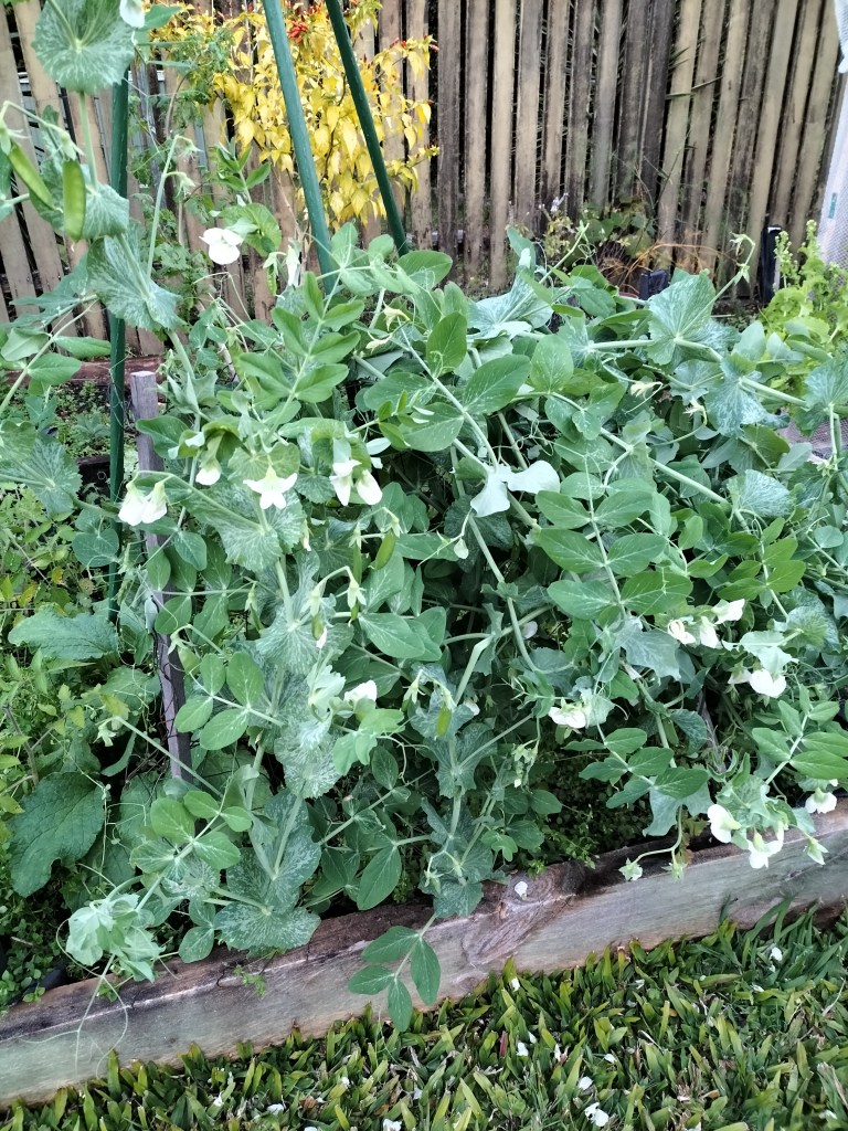 This image has an empty alt attribute; its file name is img20220723171517.jpg